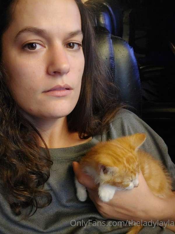 Sleepy kitten and Stranger Things.