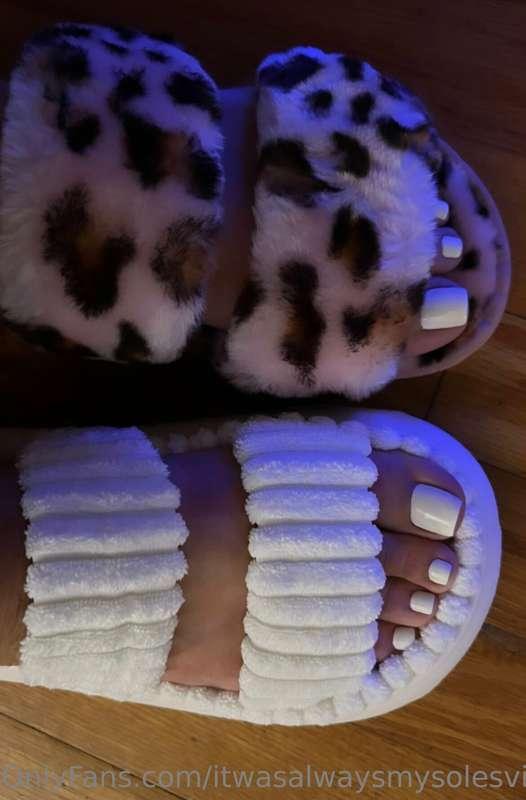 🐆Cheetah or white slippers❔