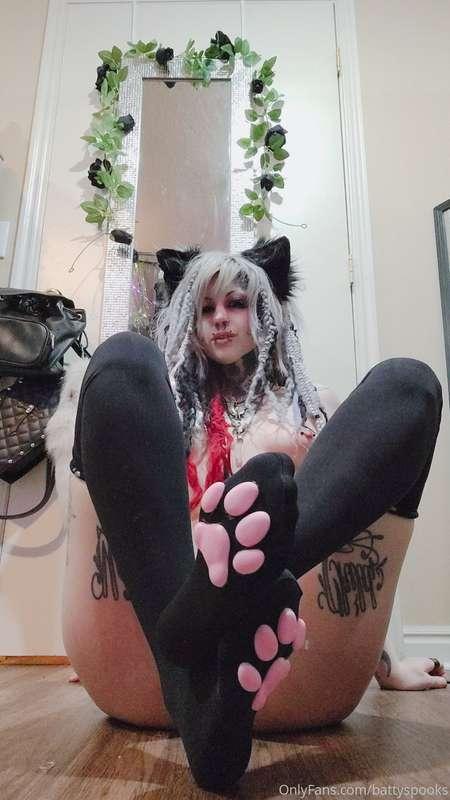 battyspooks image #0