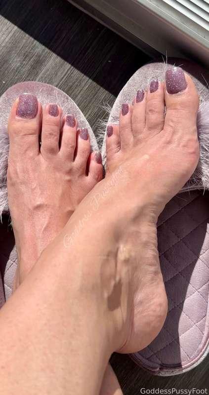 goddesspussyfoot image #2