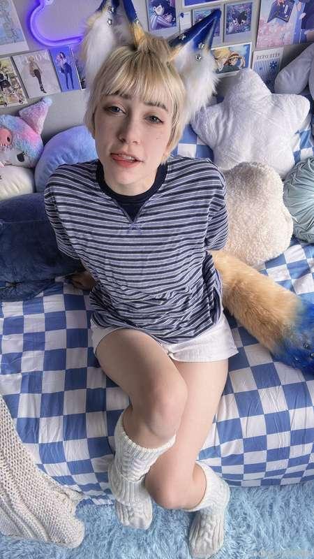 indigowhite image #46