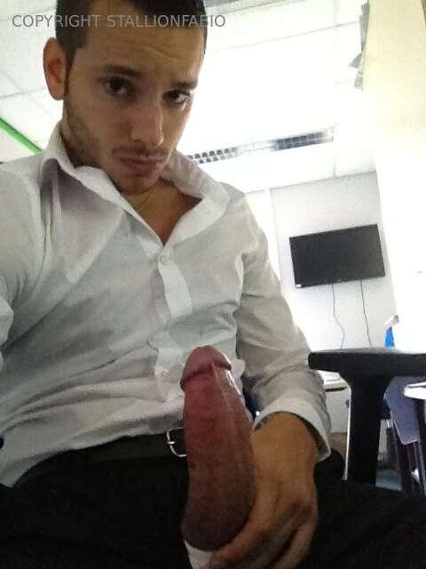 stallionfabio image #0