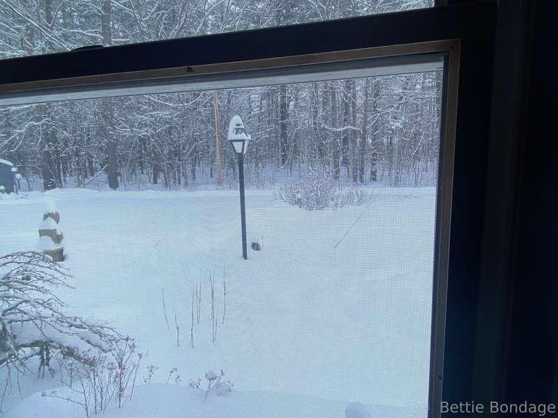 Snowed in! 