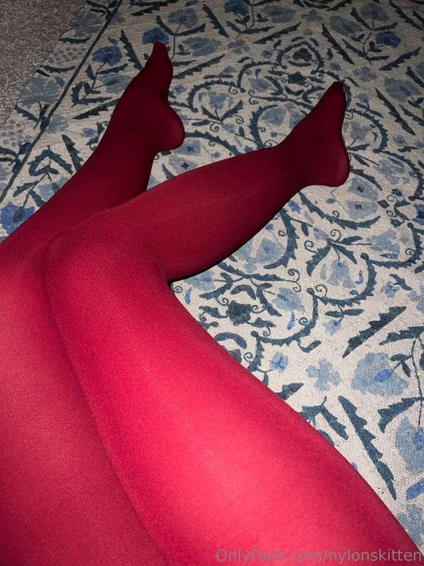 nylonskitten image #8