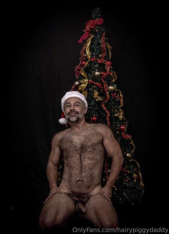 hairypiggydaddy image #0