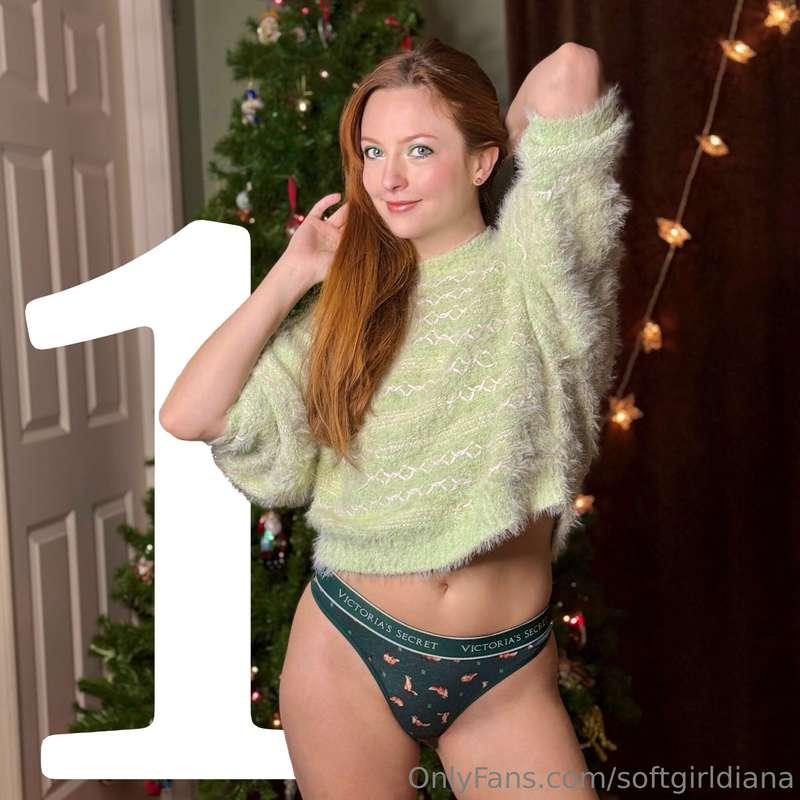 On the first day of Christmas………… one free day of naked fun ..