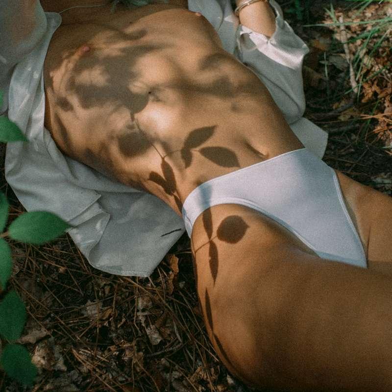 🌲🌿🌱🍃