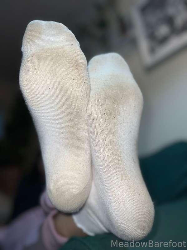 Would you bury your face in my filthy socks? Would you suck ..