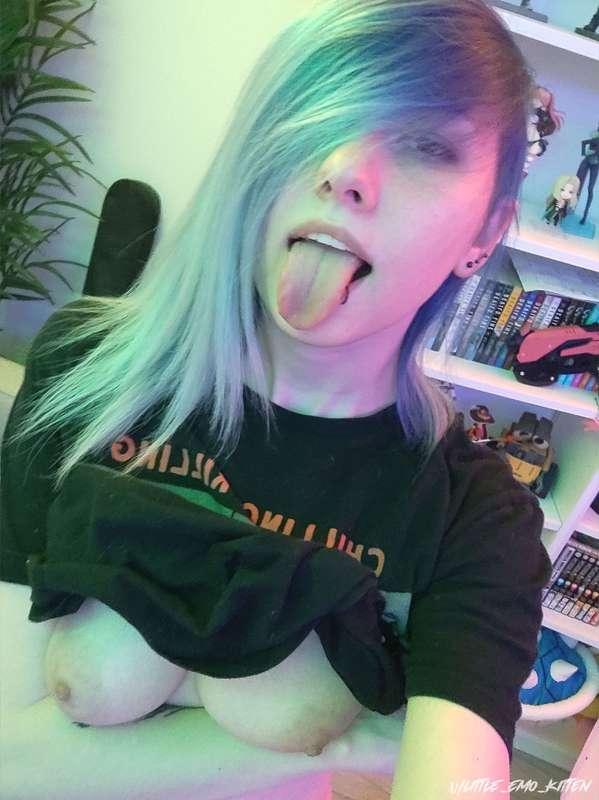 little_emo_kitten image #12