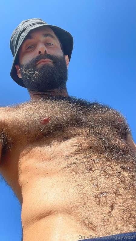 Sun’s got my fluff glowing… figured I’d share the heat and d..