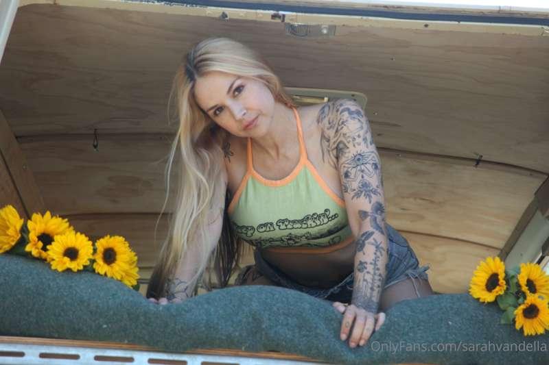 🌻🌻🌻🌻🌻