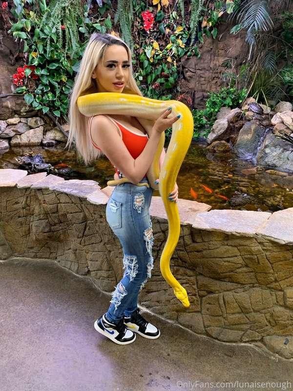 I got a new snake today 🐍 I've owned multiple snakes through..