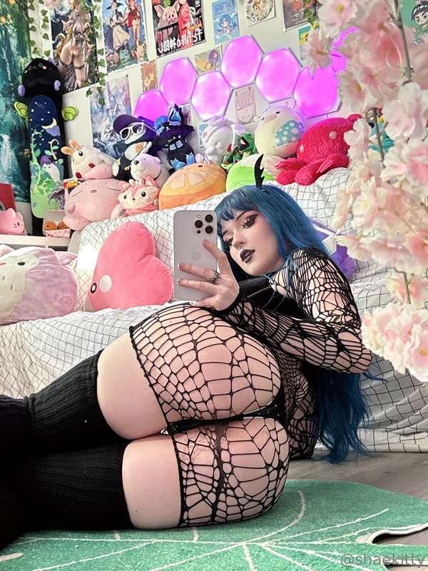 shaekitty main image