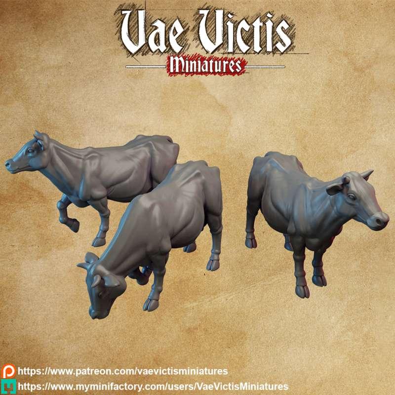 August teaser : Cows!