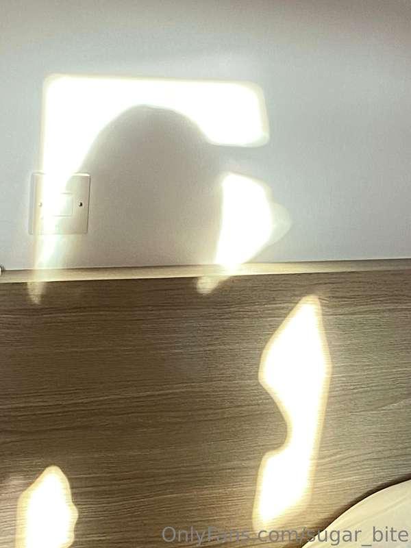 Shadow📷