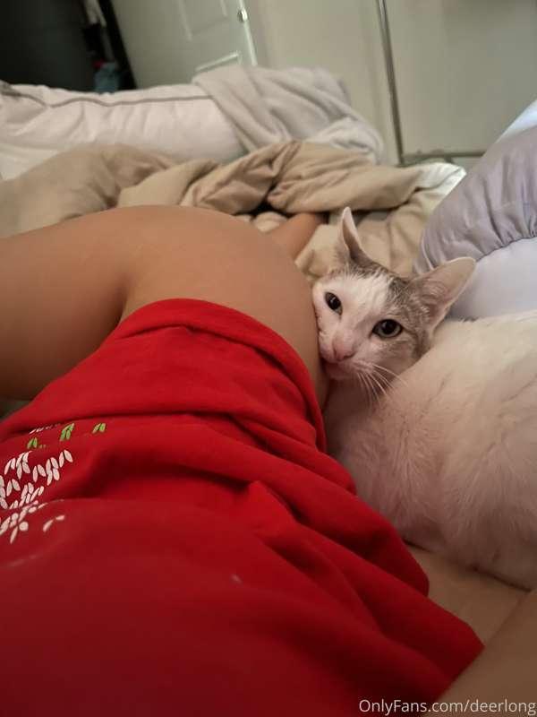 อะไรคือตื่นมาแล้วเจอแมวซุกตูด 🤣