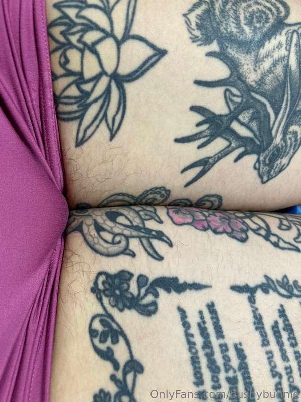 bushybunniefree image #0