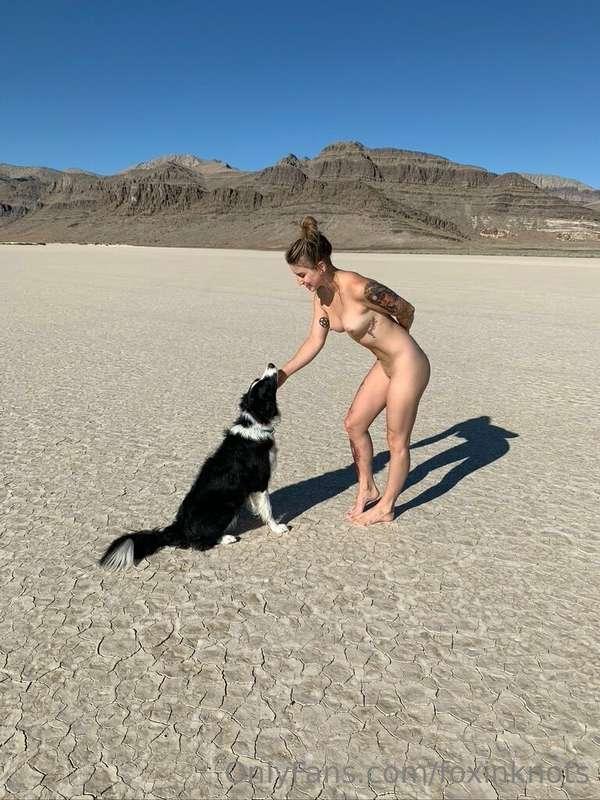 Two wild animals caught in nature 🖤🤍