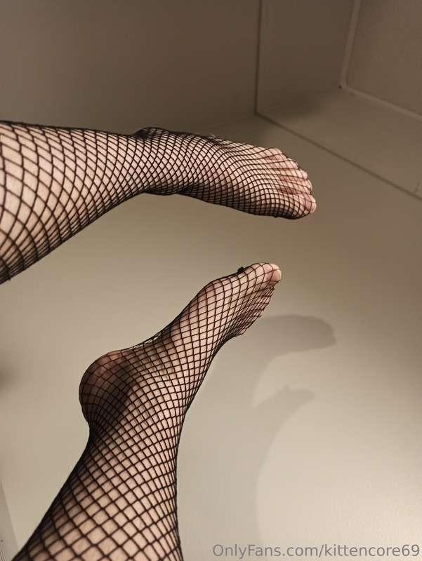 kittencore69 image #1