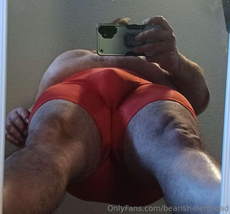 bearish-nerd-dad image #2