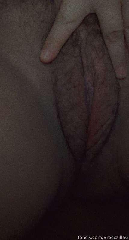 brocczilla6 image #0
