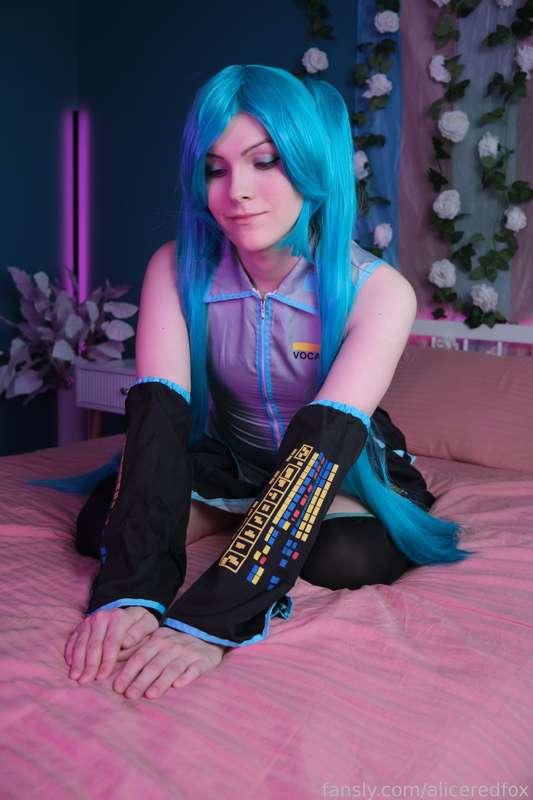 aliceredfox image #1