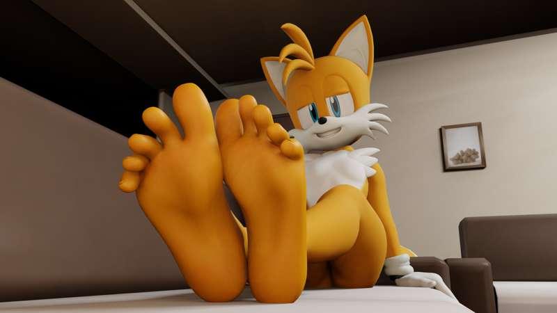 Tails on the couch