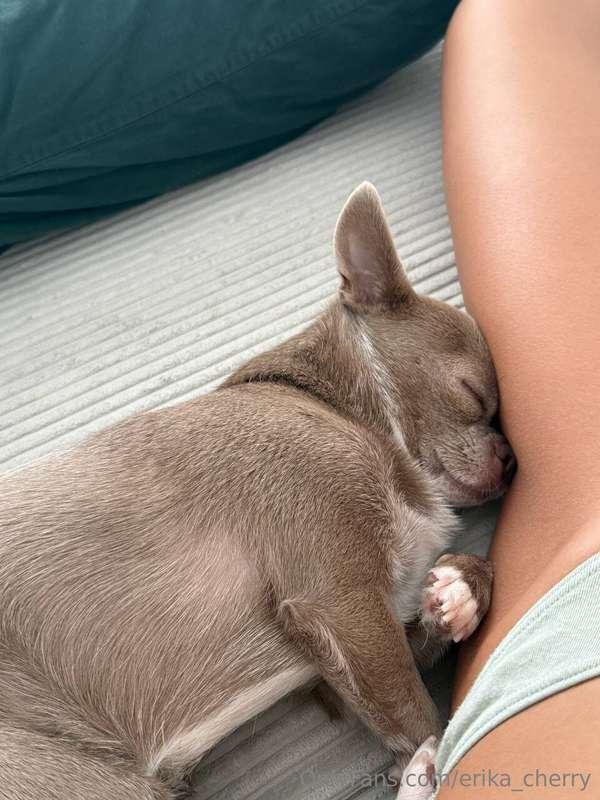 erika_cherry image #0