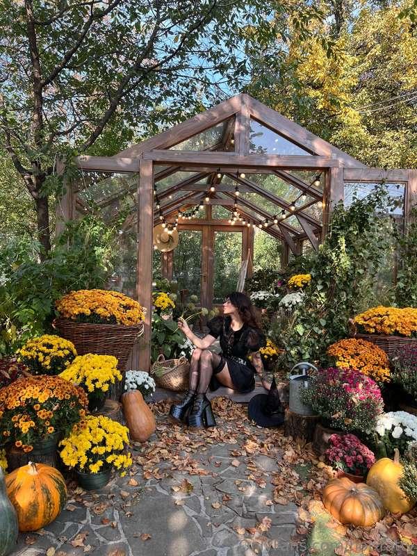 Autumn is a magical time✨ leaves on the trees are painted in..