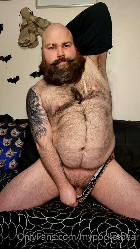 mrpocketbear image #3