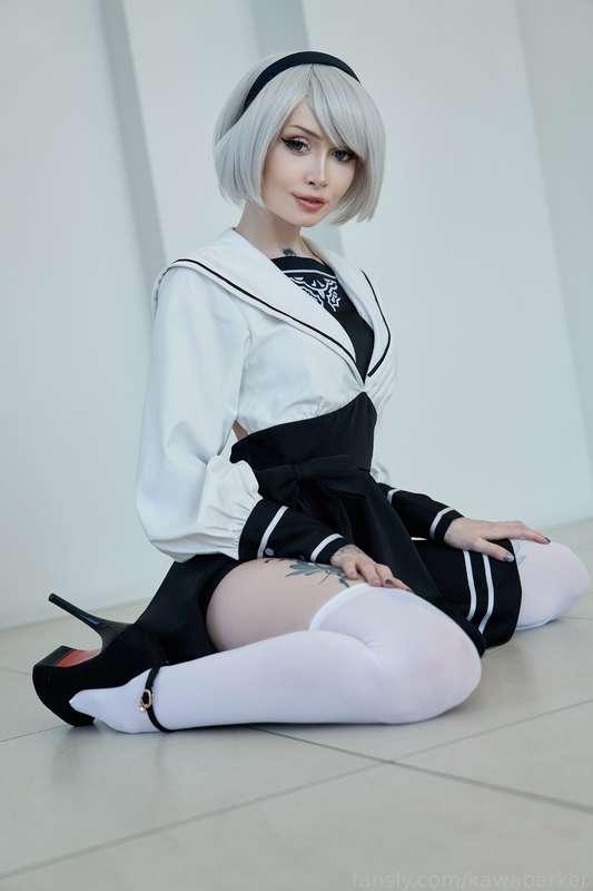 kawabarker image #6