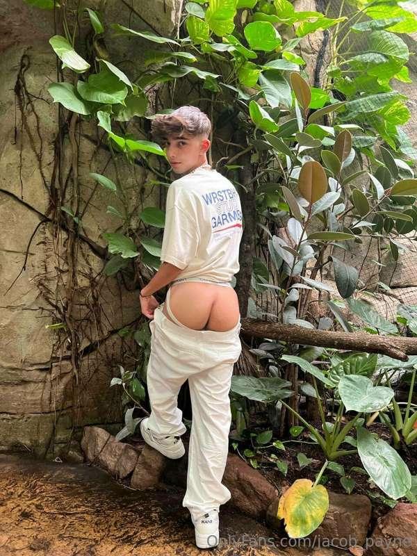 jacobbbpayne image #1