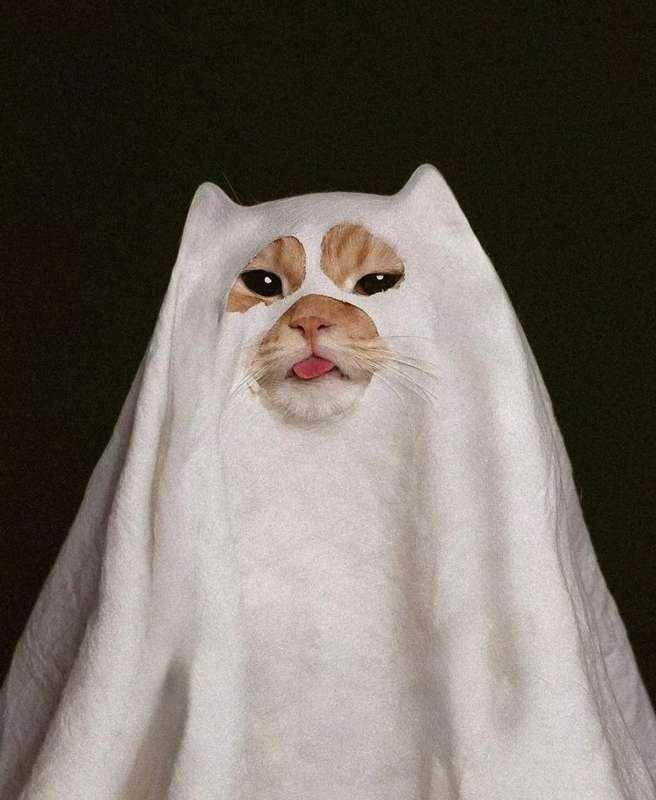 HAPPY HALLOWEEEEEEEEEN! <3
