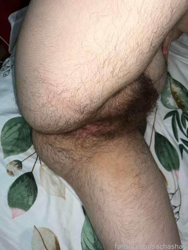 sachashay image #2