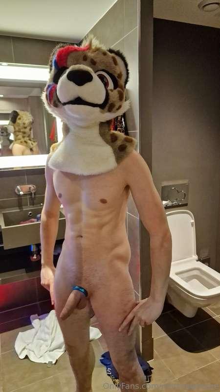 matthewfoxbe image #1