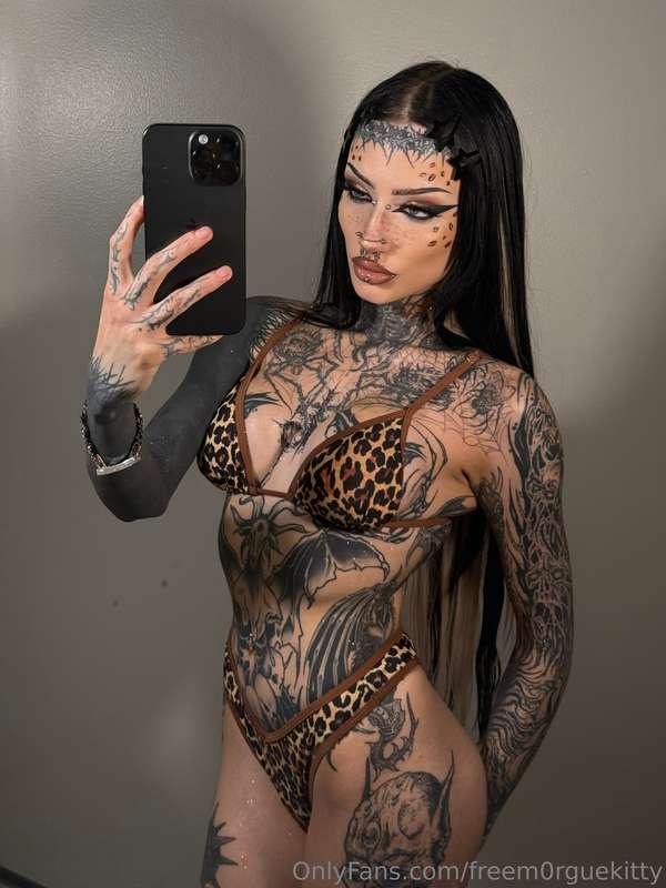 ready to pounce on you 🐆@m0rguekitty 