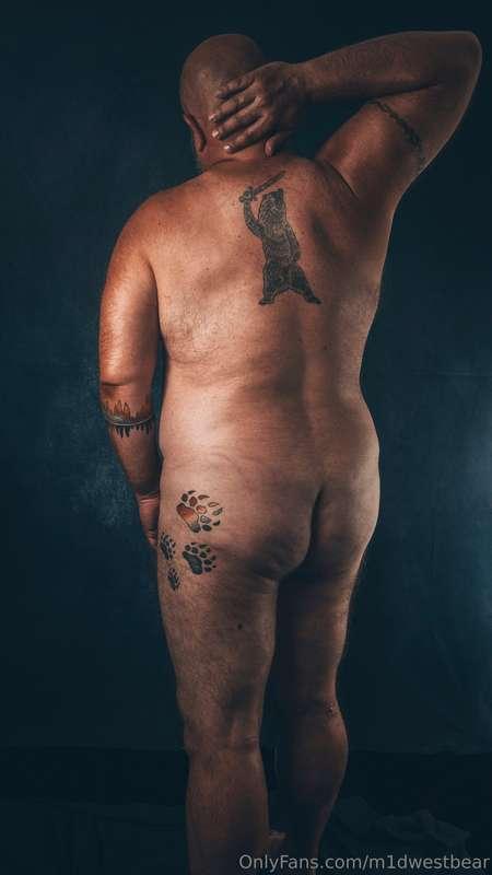 m1dwestbear image #3