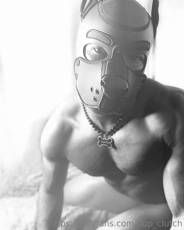 Been playing with black and white photo filters.