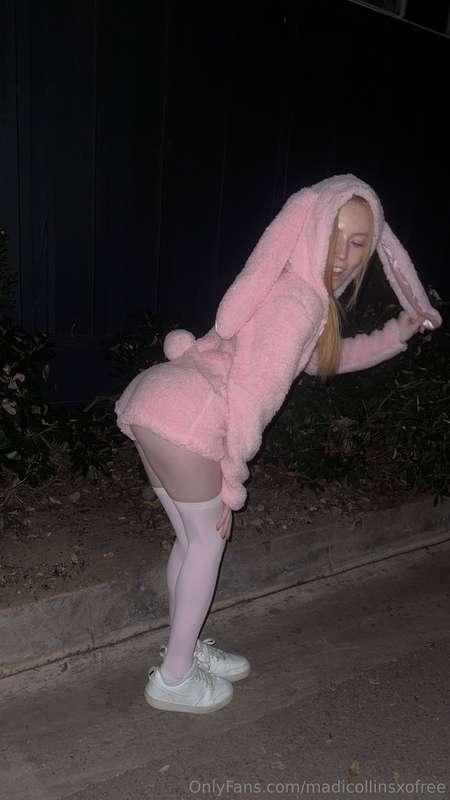 🐰