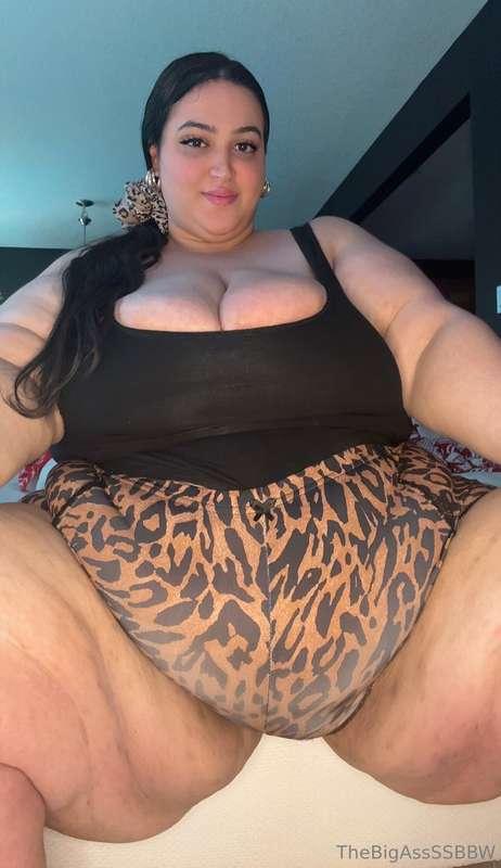 thebigassssbbw1 image #3