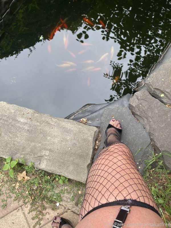 mamakatfree image #0