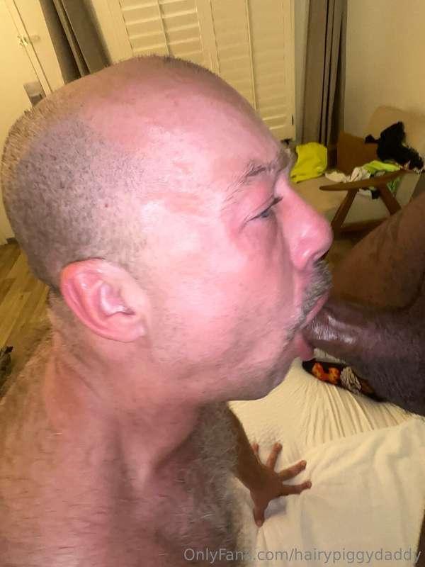 hairypiggydaddy image #12