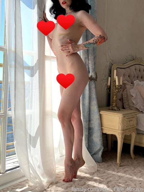 miss_ellie_mouse image #0