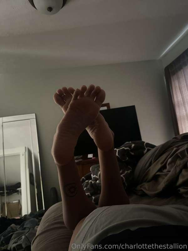 charlottethestallion image #0