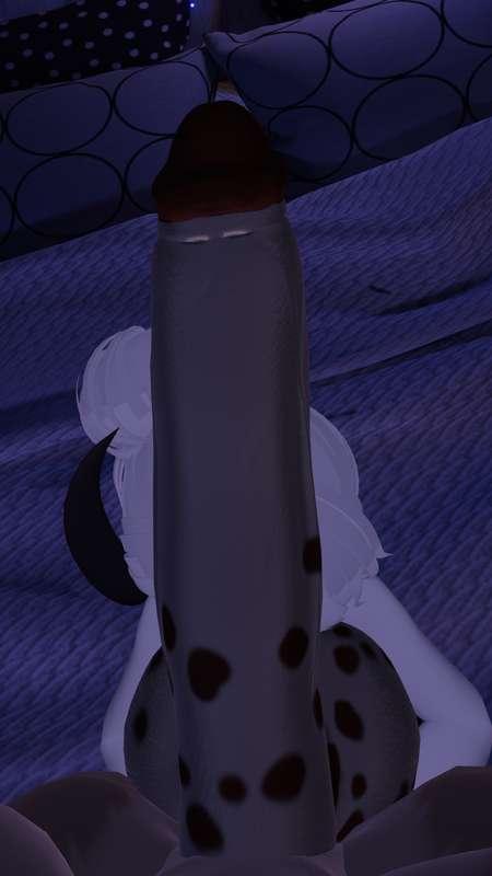 hakaivr image #0