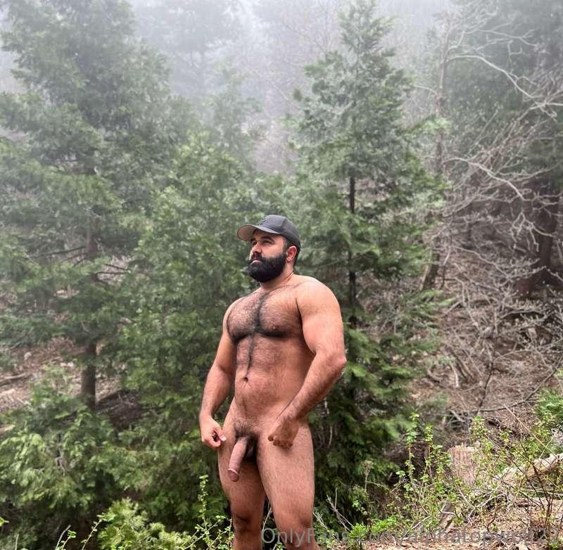 These bears better watch out for this Wolf 🐺