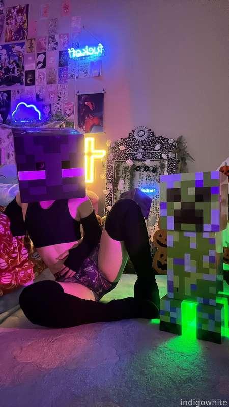 indigowhite image #279