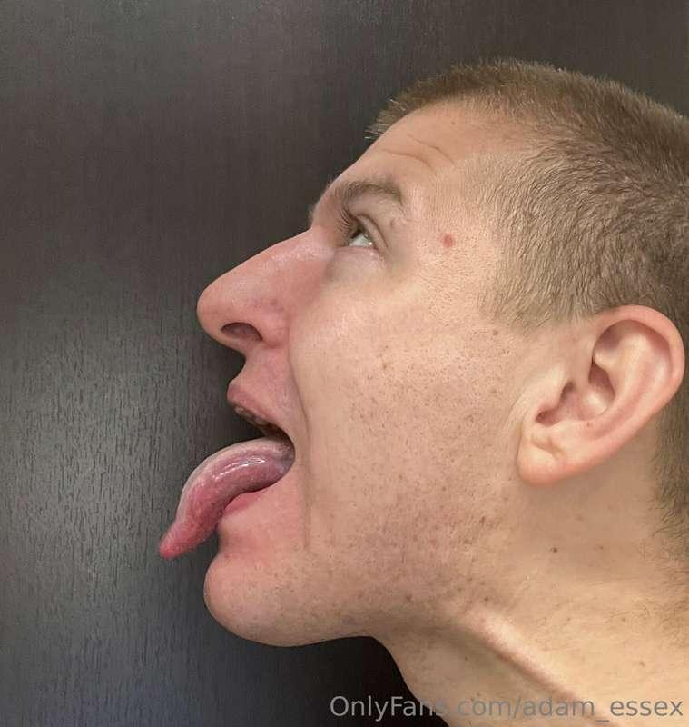 Licking length