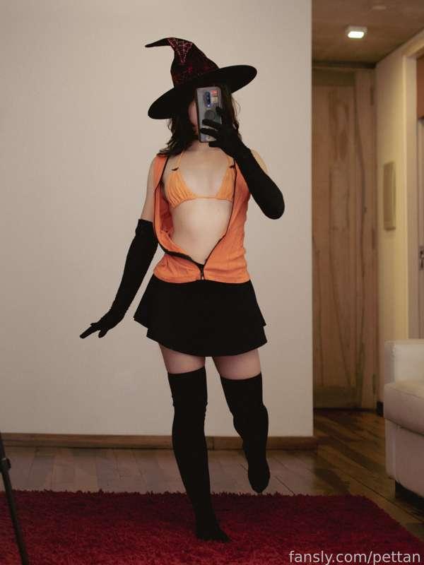 pettan image #3