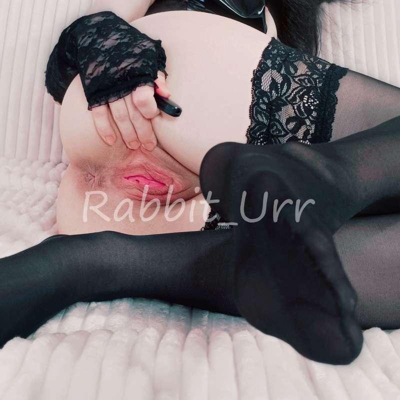 rabbit_urr image #14